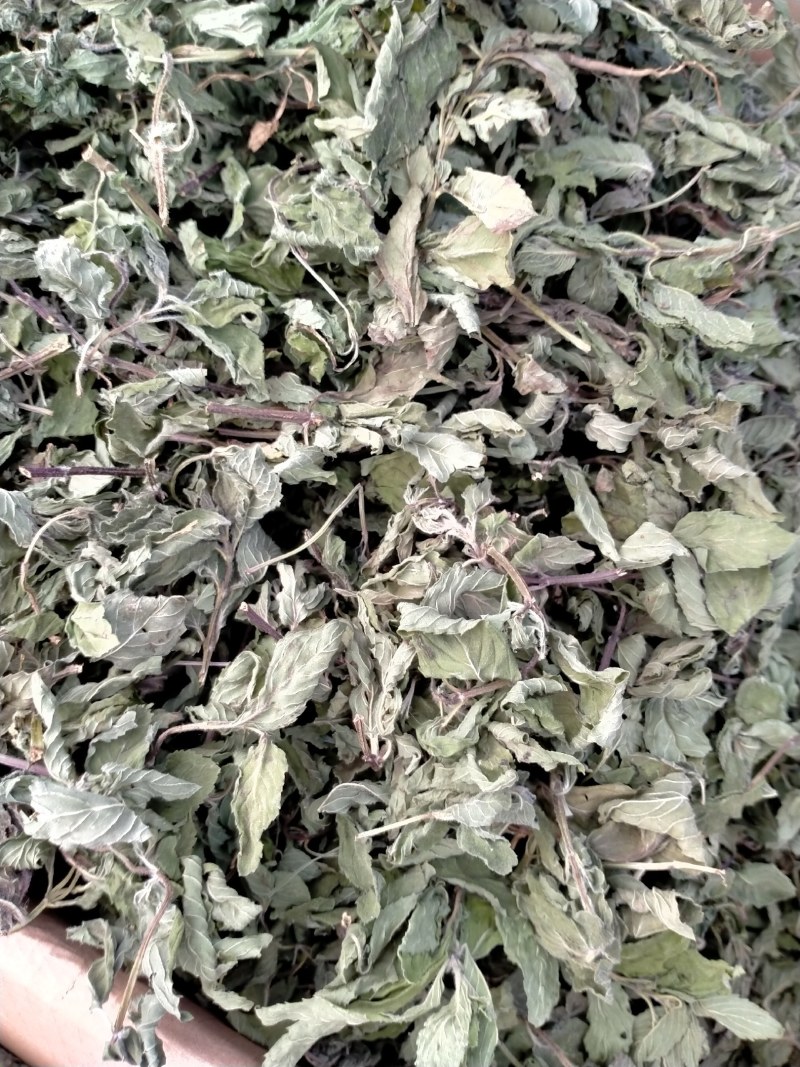 薄荷叶各种规格！精品大货批发！质量好！价格低！