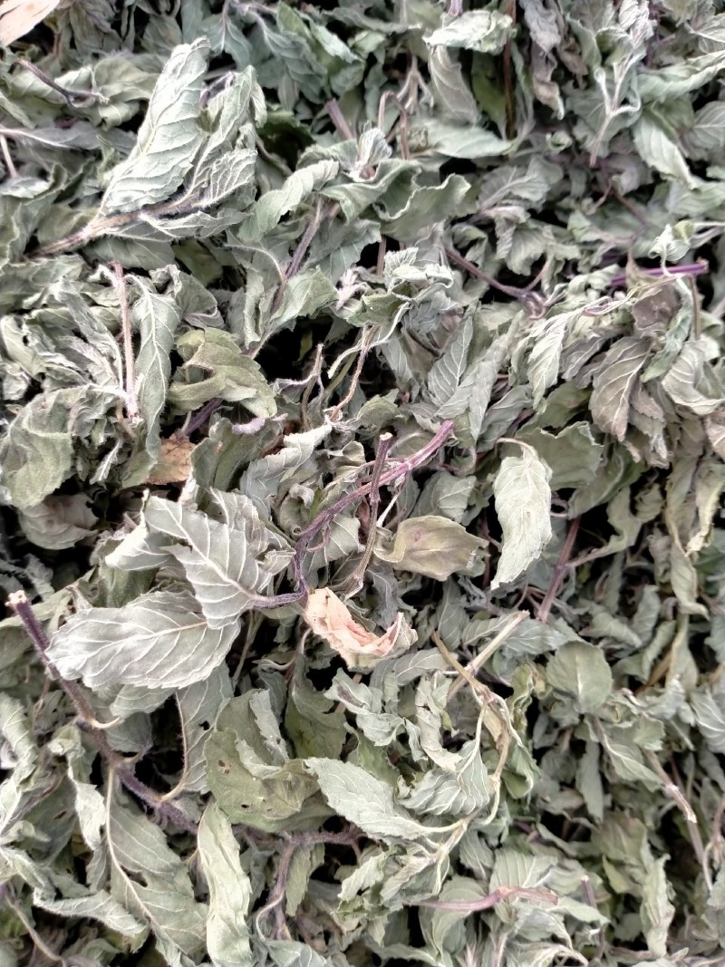 薄荷叶各种规格！精品大货批发！质量好！价格低！