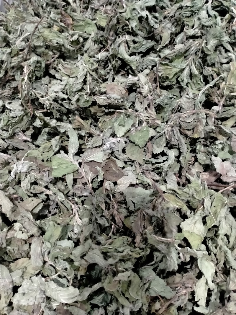 薄荷叶各种规格！精品大货批发！质量好！价格低！