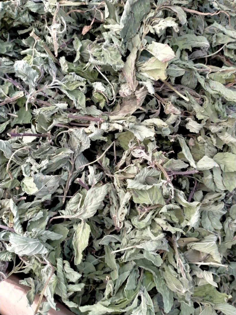 薄荷叶各种规格！精品大货批发！质量好！价格低！