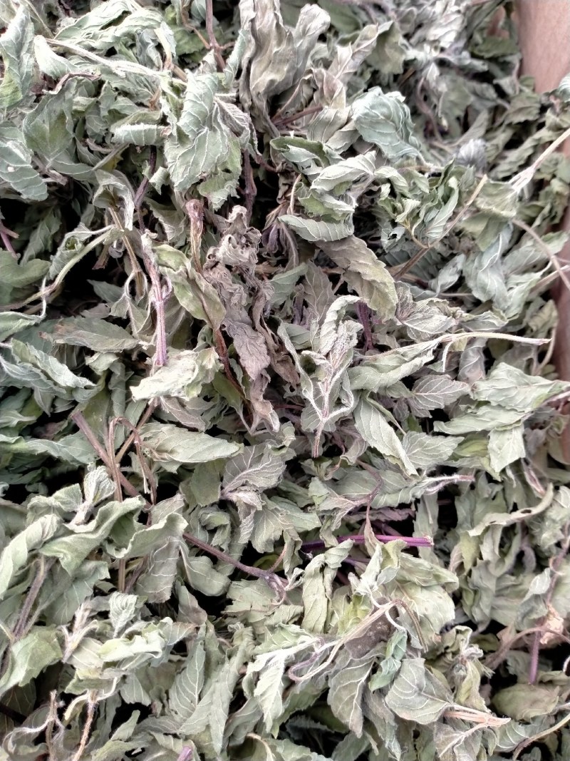 薄荷叶各种规格！精品大货批发！质量好！价格低！