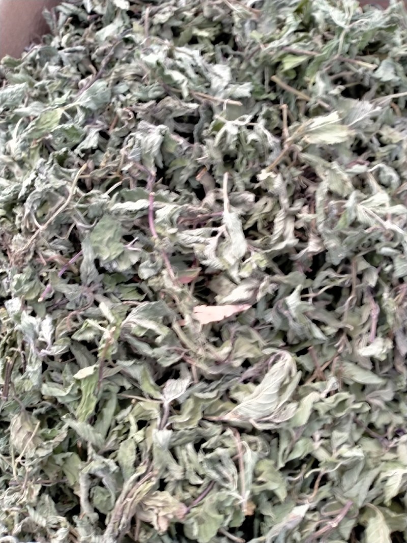 薄荷叶各种规格！精品大货批发！质量好！价格低！