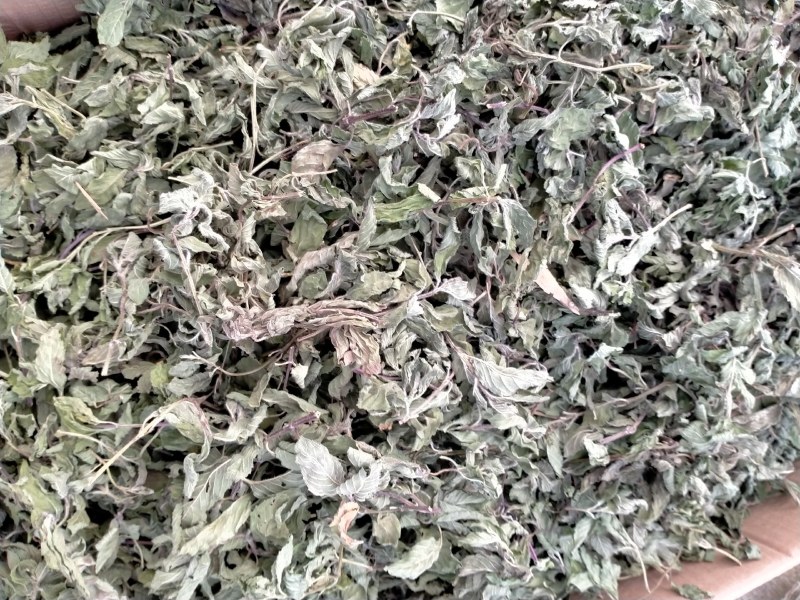 薄荷叶各种规格！精品大货批发！质量好！价格低！