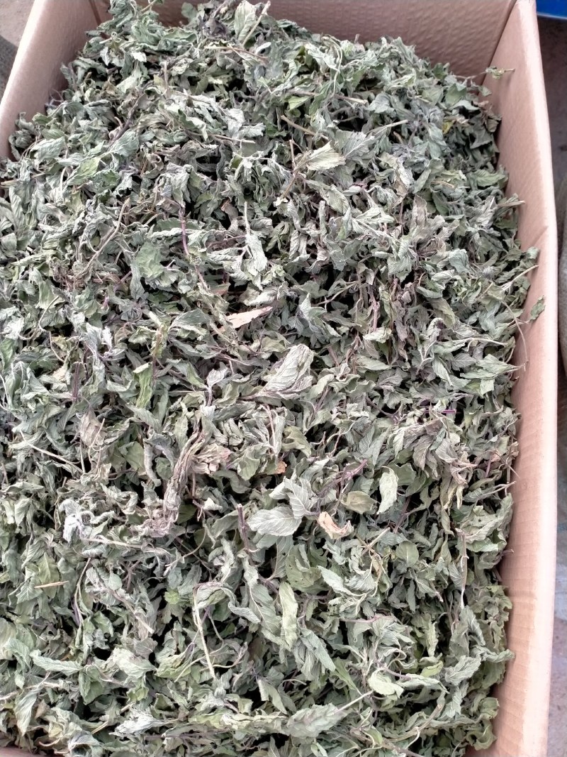 薄荷叶各种规格！精品大货批发！质量好！价格低！