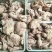 熟牛小货公司常年大量供应熟牛小货