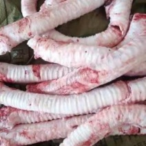 批发国产牛肺管精修去油