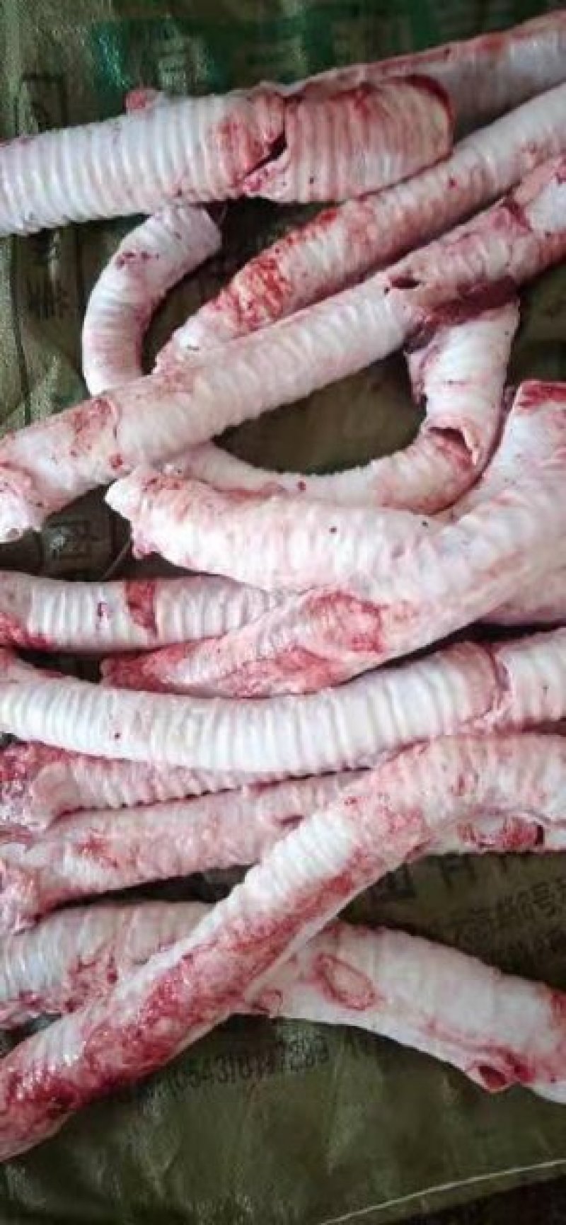 批发国产牛肺管精修去油