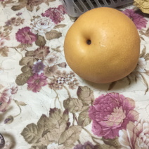 丰水梨
