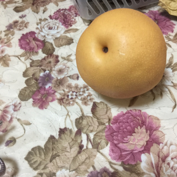 丰水梨