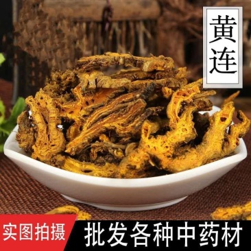 黄连个鸡爪黄连片单支莲重庆正品干净无杂品质保证