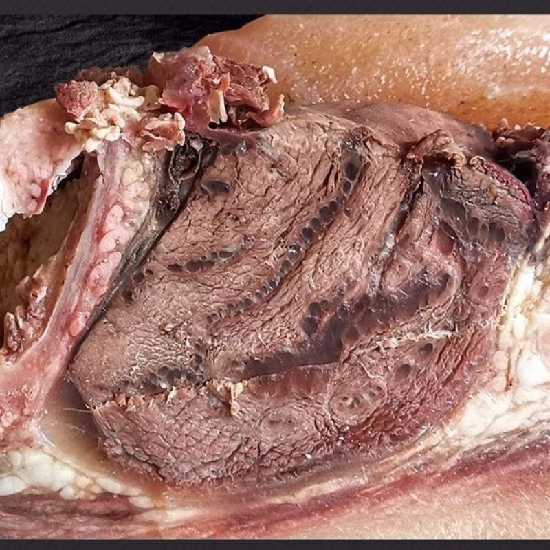 牛头肉，刀削毛，去骨，新鲜屠宰，非进口货