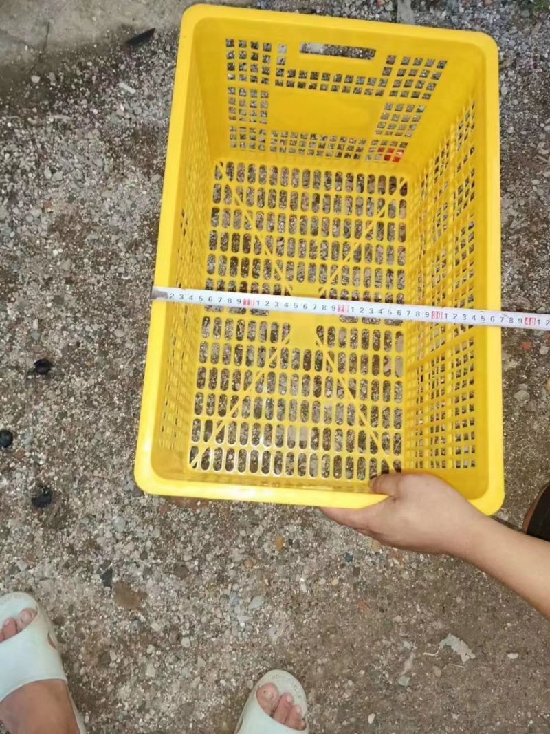 大量泡沫箱，封口胶批发价，有需要的老板抓紧联系了喔