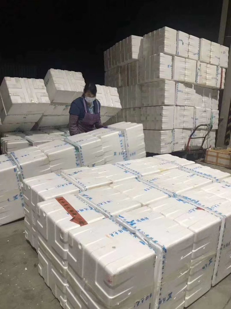 大量泡沫箱，封口胶批发价，有需要的老板抓紧联系了喔