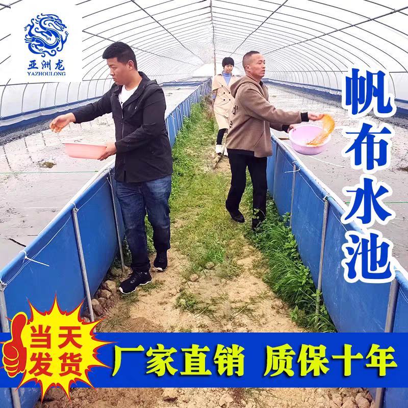 鱼塘防渗膜黑色塑料薄膜鱼池膜池塘藕池护坡防水布专用土工膜