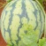 西瓜（美味多汁，甜度好:-)