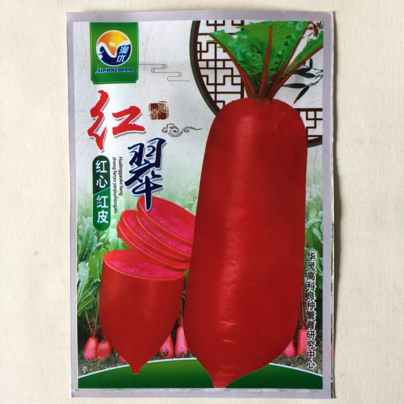风梨水果萝卜种子甜脆爽口生吃更好口感出众