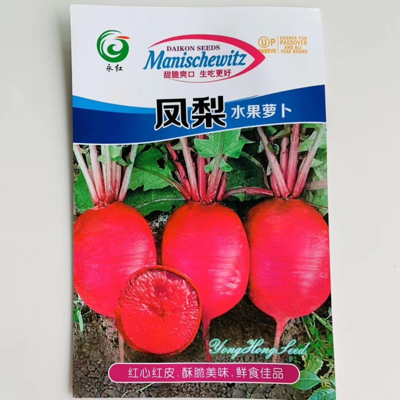 凤梨水果萝卜种子甜脆爽囗生吃更好口感出众