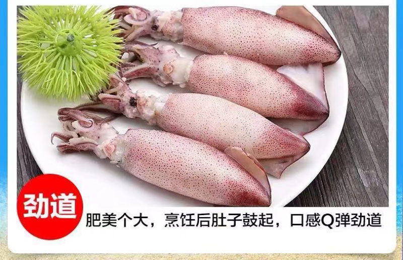 海鲜水产海兔全仔仔乌鲜活冷冻海产品小鱿鱼满仔笔管鱼