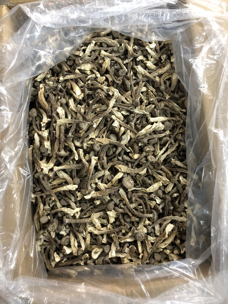 精品鹿茸菇