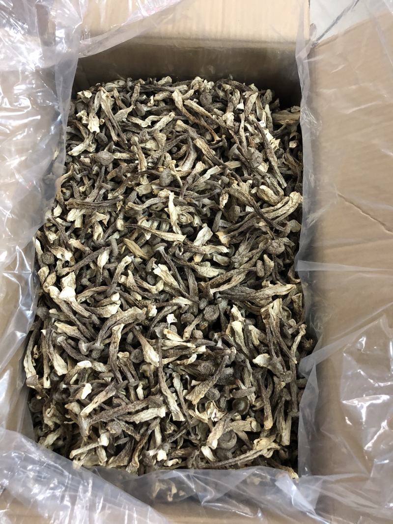 精品鹿茸菇