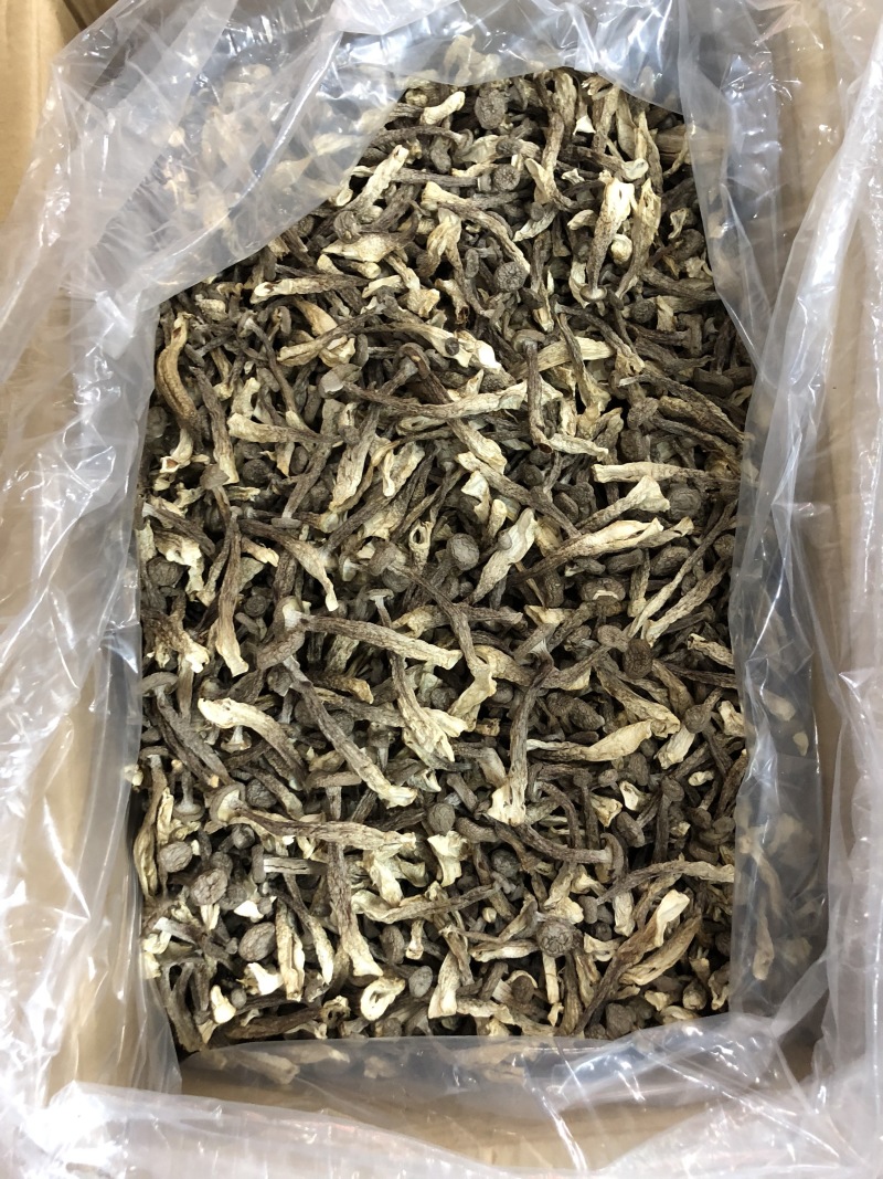 精品鹿茸菇
