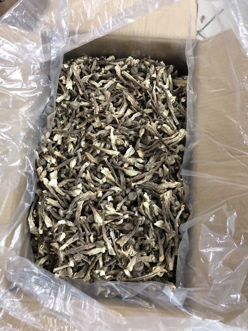 精品鹿茸菇