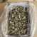 精品鹿茸菇