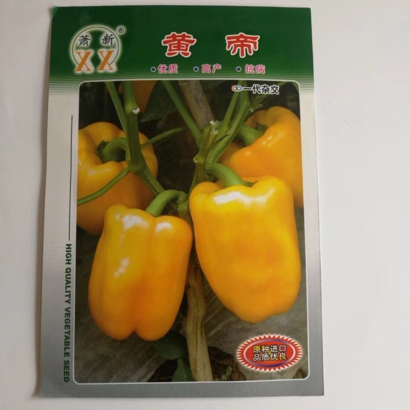 黄帝灯笼椒种子优质高产抗病