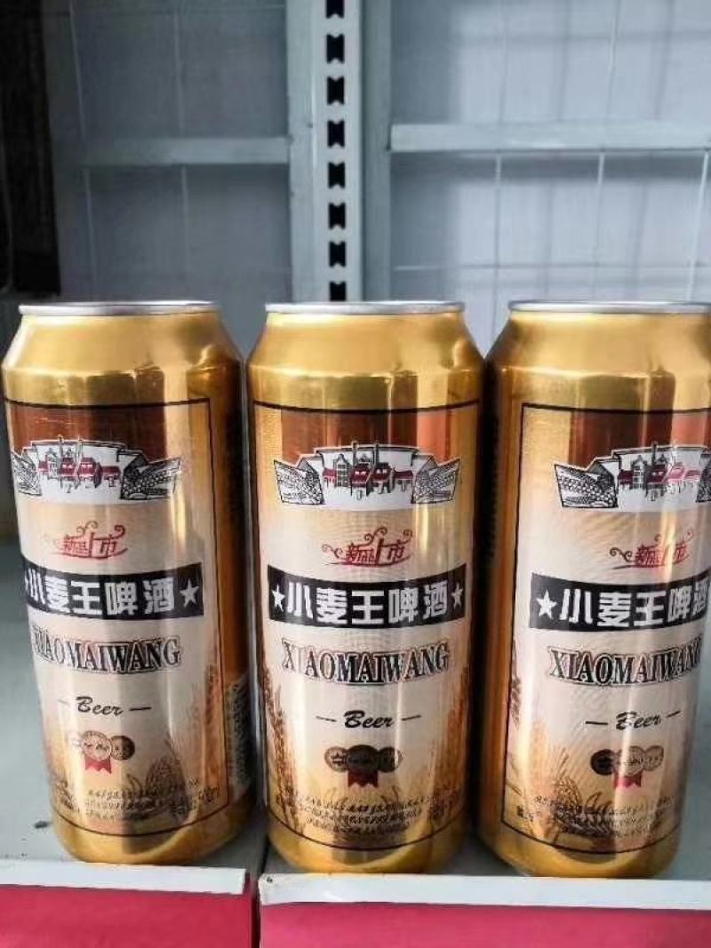 啤酒拉罐啤酒富维纯生啤酒小麦王啤酒