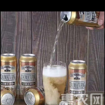 啤酒拉罐啤酒富维纯生啤酒小麦王啤酒
