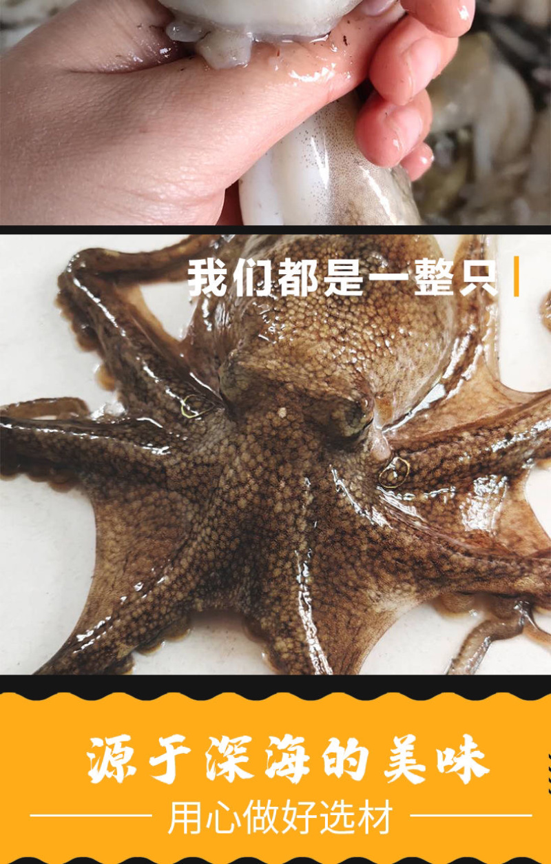 八爪鱼海鲜鲜活水产冷冻章鱼迷你八爪鱼章鱼足长腿网红