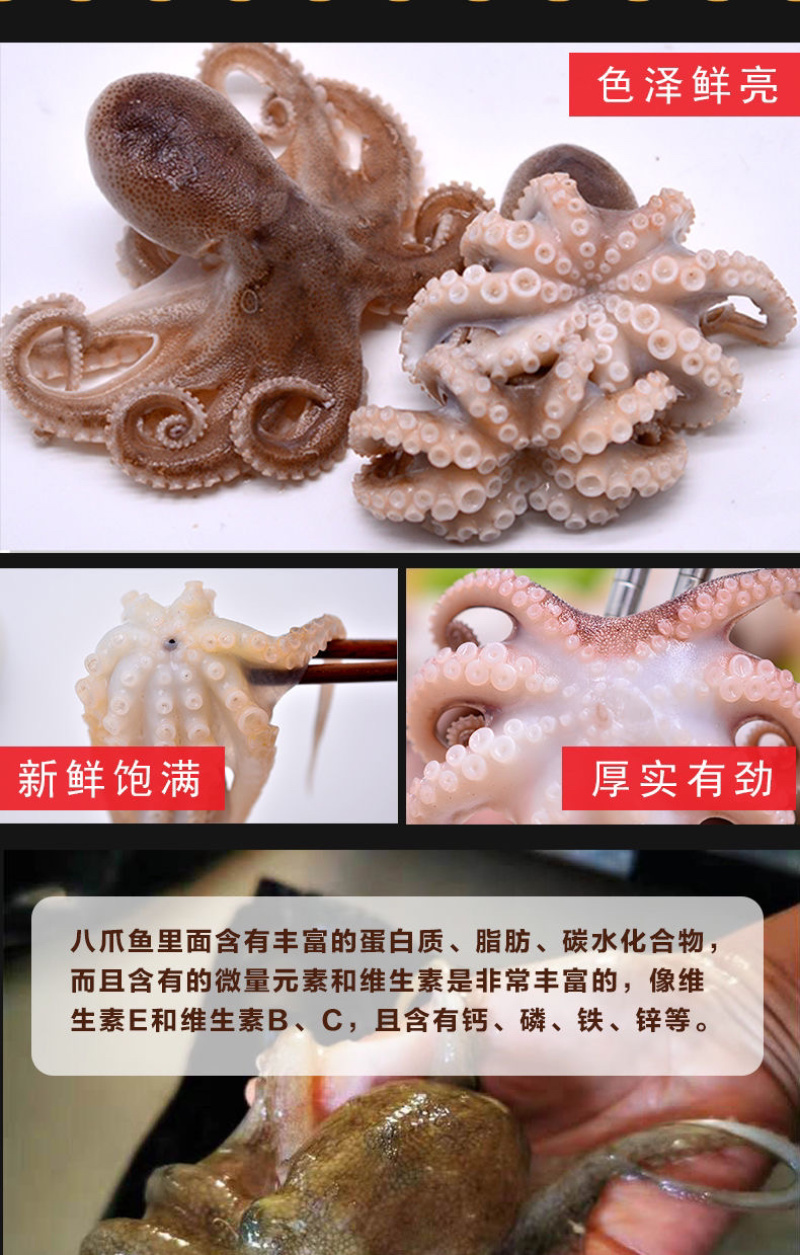 八爪鱼海鲜鲜活水产冷冻章鱼迷你八爪鱼章鱼足长腿网红