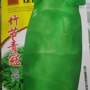 圆叶耐寒莴笋种子高桩形皮色青肉色青竹筒青莴笋种子