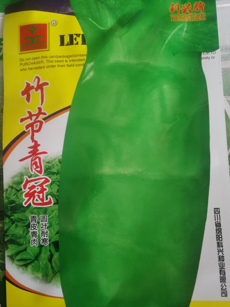 圆叶耐寒莴笋种子高桩形皮色青肉色青竹筒青莴笋种子