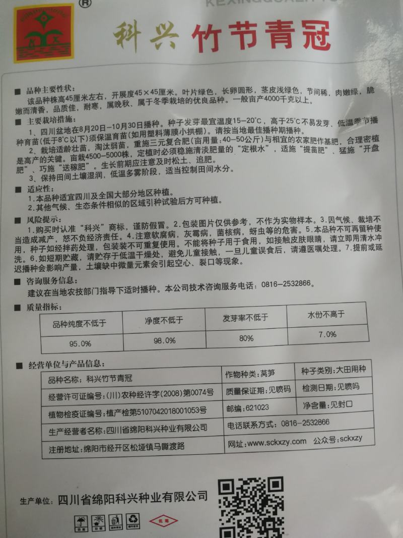 圆叶耐寒莴笋种子高桩形皮色青肉色青竹筒青莴笋种子