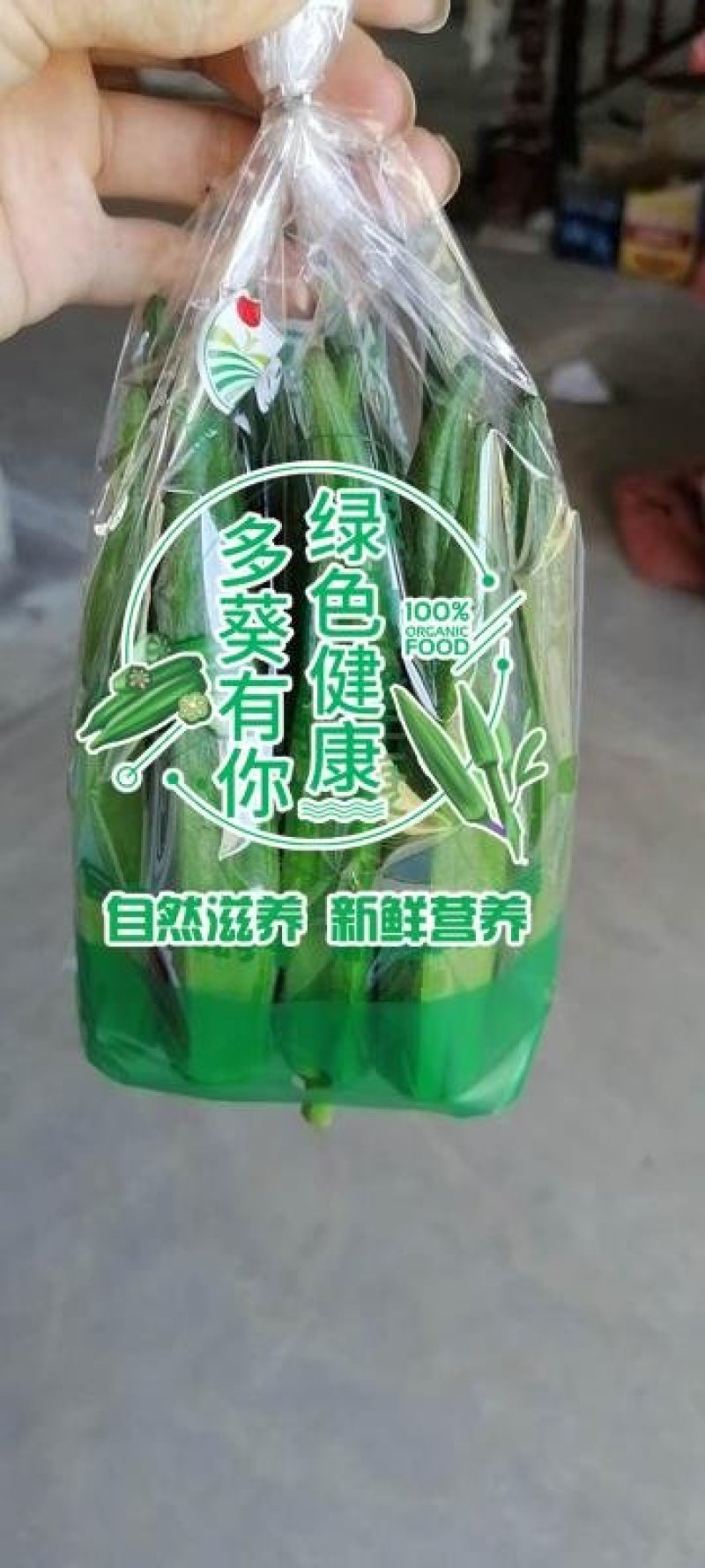 当季新苗现摘精品水果秋葵10~14cm