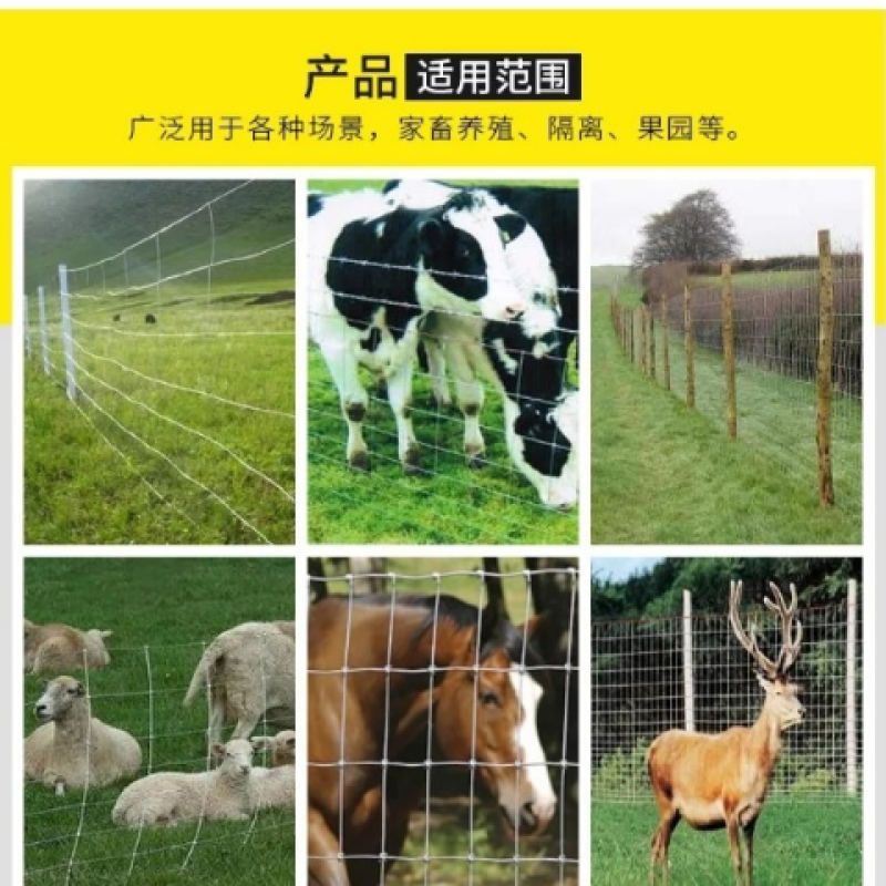 加粗拦牛羊网圈地围栏网镀锌铁丝网防护网养殖网