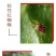 植物橙皮精油助剂农用助剂增效剂助剂高渗透高扩展助剂