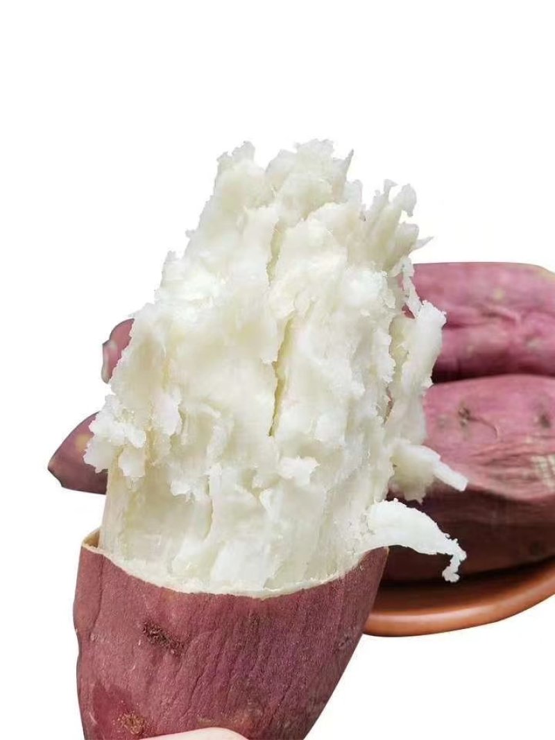 紫薯苗，澳洲紫白，玛莎莉薯苗，蜜薯苗，西瓜红，栗子香