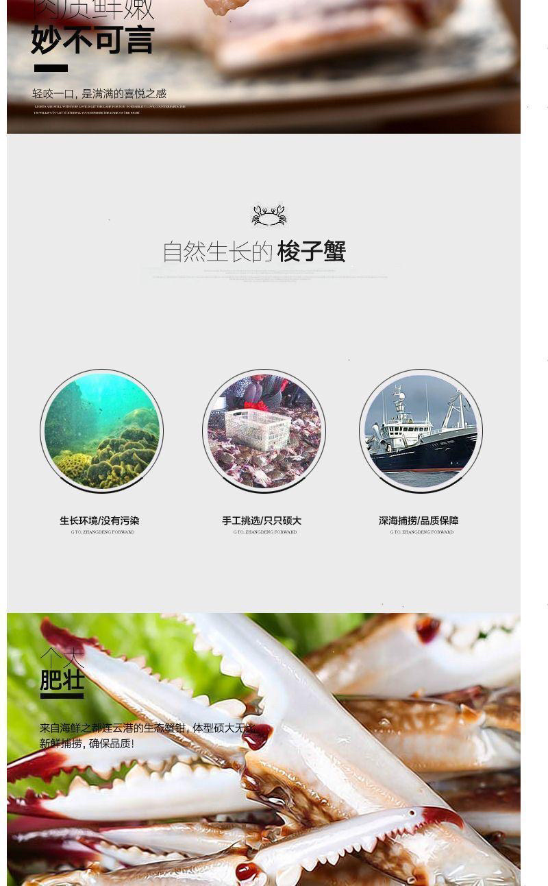 蟹腿梭子蟹蟹脚新鲜蟹钳鲜活海蟹鲜活梭子蟹海鲜批发