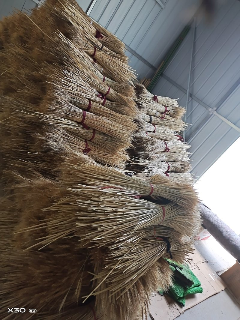 黄金麦穗干花花束开业大卖丰收稻穗家居田园装饰礼品拍摄道具