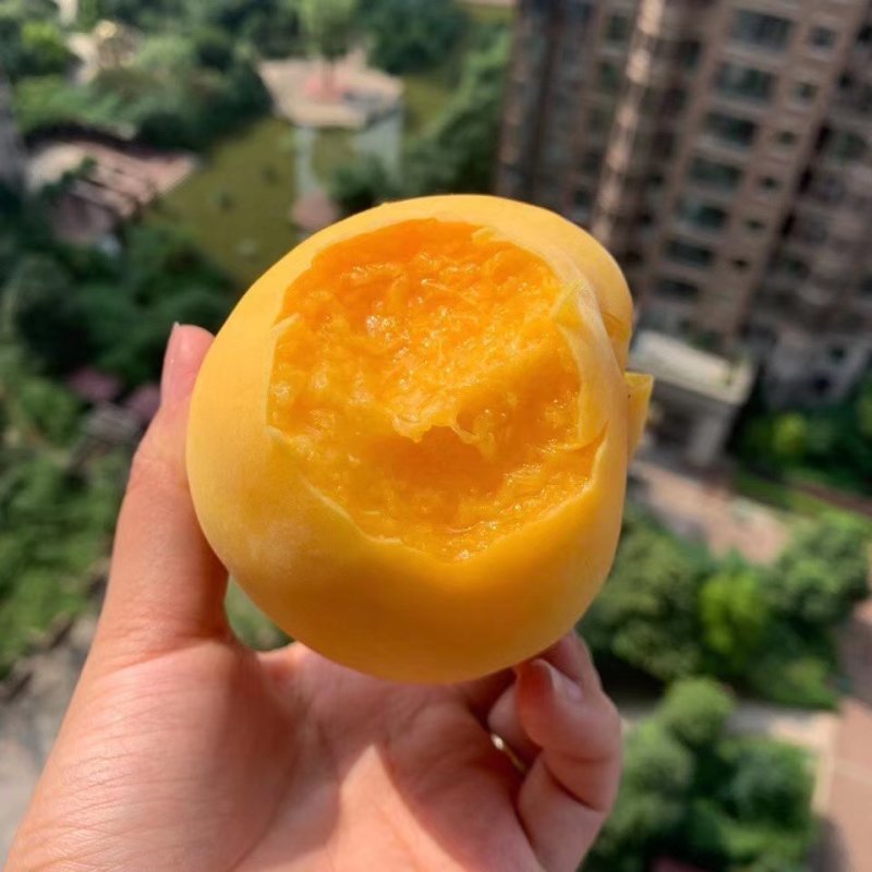 陕西大荔黄金蜜桃