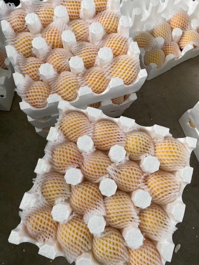 陕西大荔黄金蜜桃
