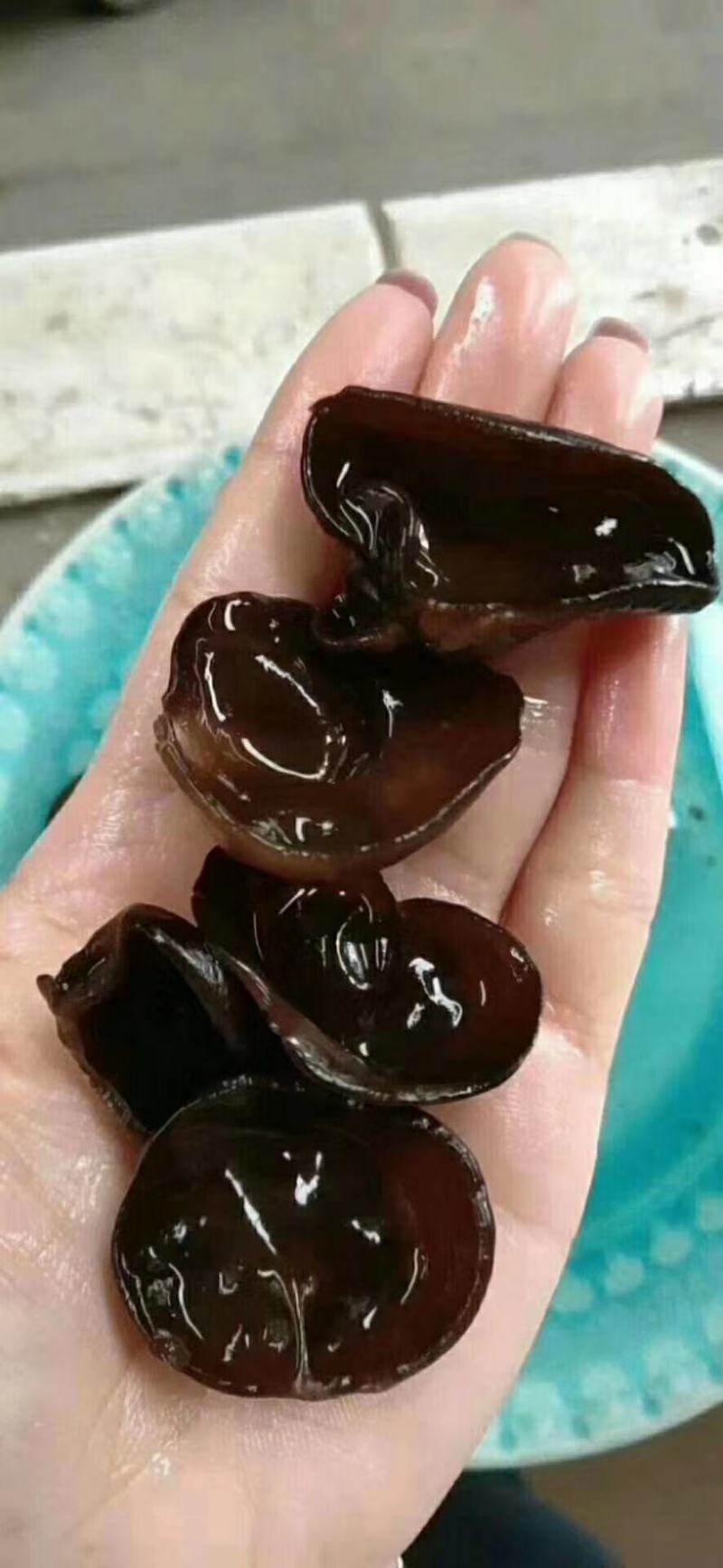 木耳菌类毛木耳加重木耳现货供应