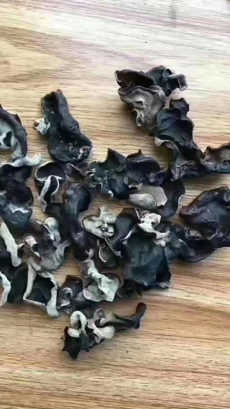 木耳菌类毛木耳加重木耳现货供应