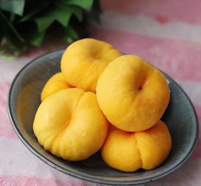 蒙阴土豪油蟠桃