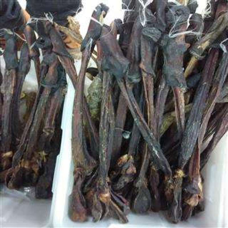 驴鞭，常年批发供应各种规格驴鞭中药材