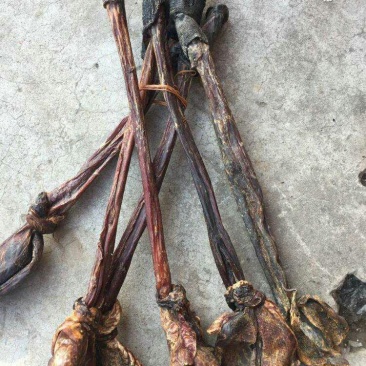 驴鞭，常年批发供应各种规格驴鞭中药材