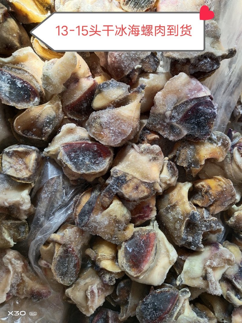 海螺肉单冻干冰活壳加工，新鲜度好