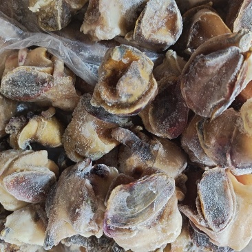 海螺肉单冻干冰活壳加工，新鲜度好